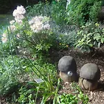 Apartman Alteschule15 *