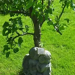 Alteschule15 * Leibsch