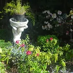 Apartman Alteschule15 *