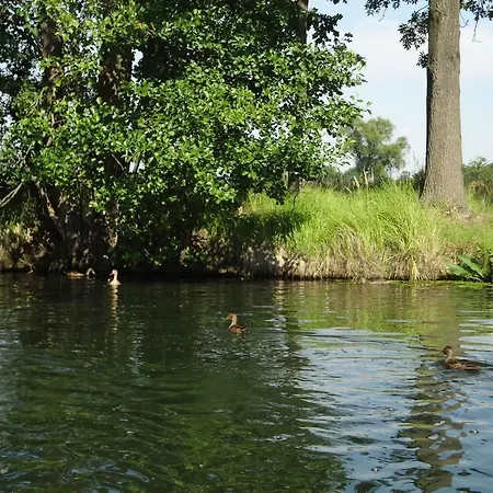 Alteschule15 * Leibsch