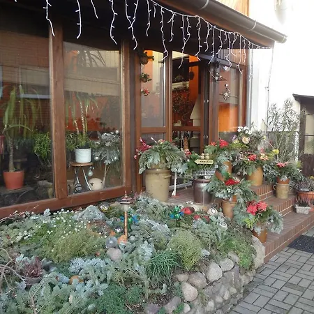 Alteschule15 * Leibsch