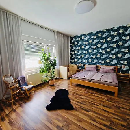 Alteschule15 Leibsch