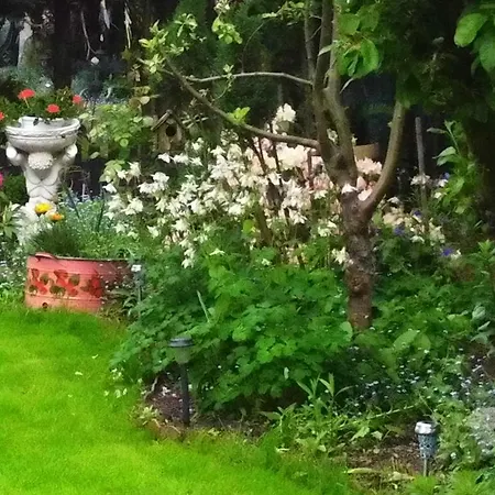 Lejlighed Alteschule15 Leibsch