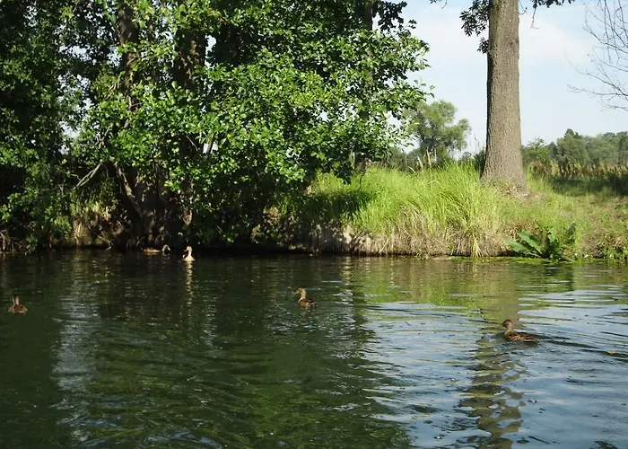 Alteschule15 * Leibsch