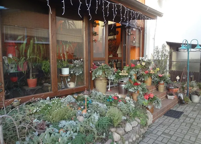 Alteschule15 * Leibsch