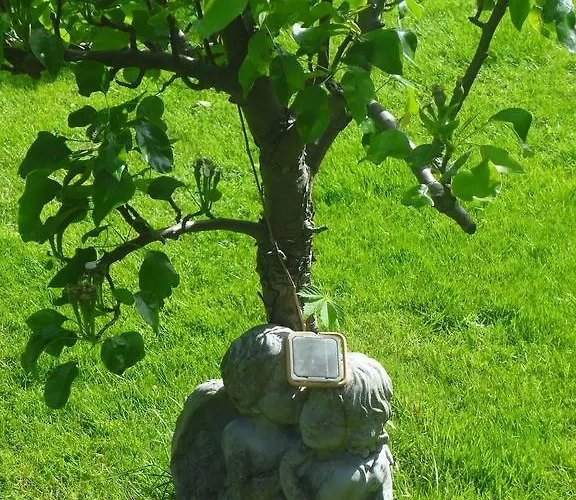 Alteschule15 * Leibsch