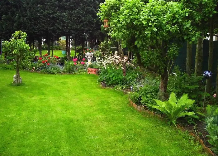 Apartman Alteschule15